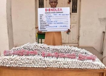 Nigéria : 942 explosifs saisis vers Zamfara, un suspect arrêté