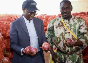 Sénégal | Agriculture : un ambitieux programme de stockage pour lutter contre les pertes post-récolte