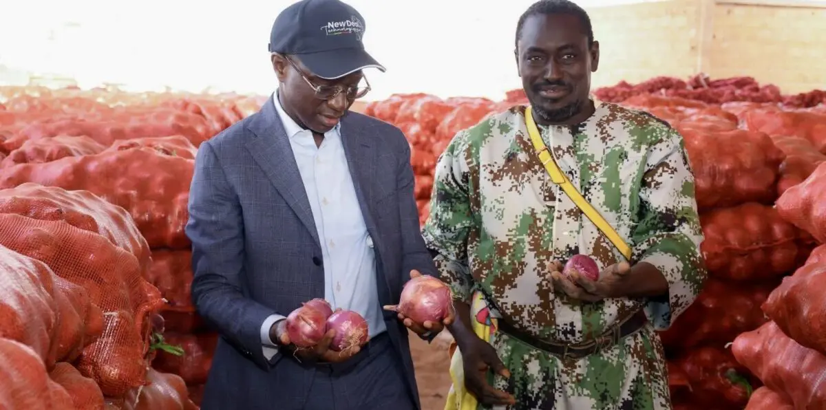 Sénégal | Agriculture : un ambitieux programme de stockage pour lutter contre les pertes post-récolte