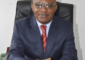Zlecaf / Alain Bayeni, Directeur Général du Commerce extérieur de la République du Congo :  » Redynamiser notre économie pour qu’elle soit dynamique et compétitive « 