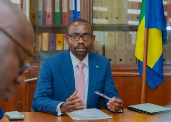 Le Gabon engage une réforme de pilotage pour une meilleure valorisation des crédits carbone