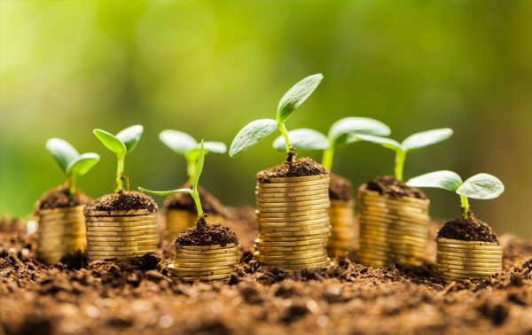 Climat | Financement : l’Afrique ne reçoit que 12 % de ses besoins