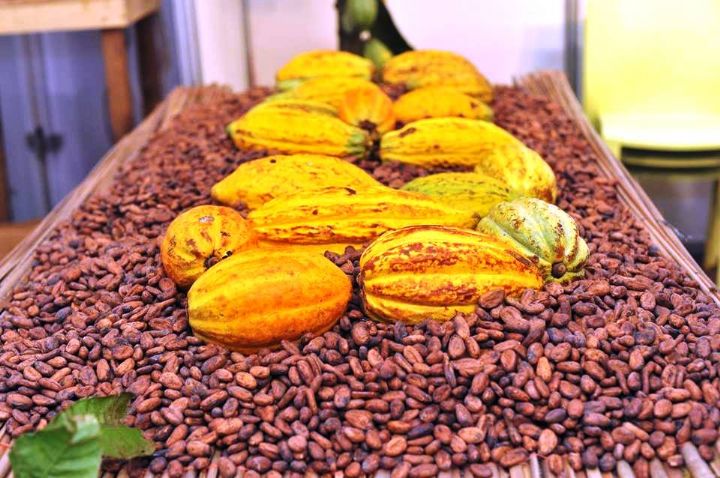 Prévisions économiques | La Côte d’Ivoire confirme son dynamisme en 2025-2026 autour de 6,3% de PIB (Rapport de la BAD)