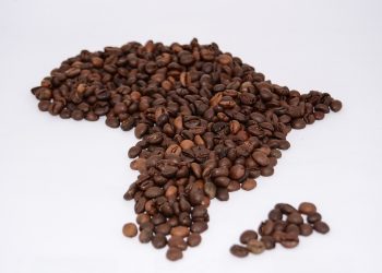 L’Afrique a un nouveau leader de l’exportation de café