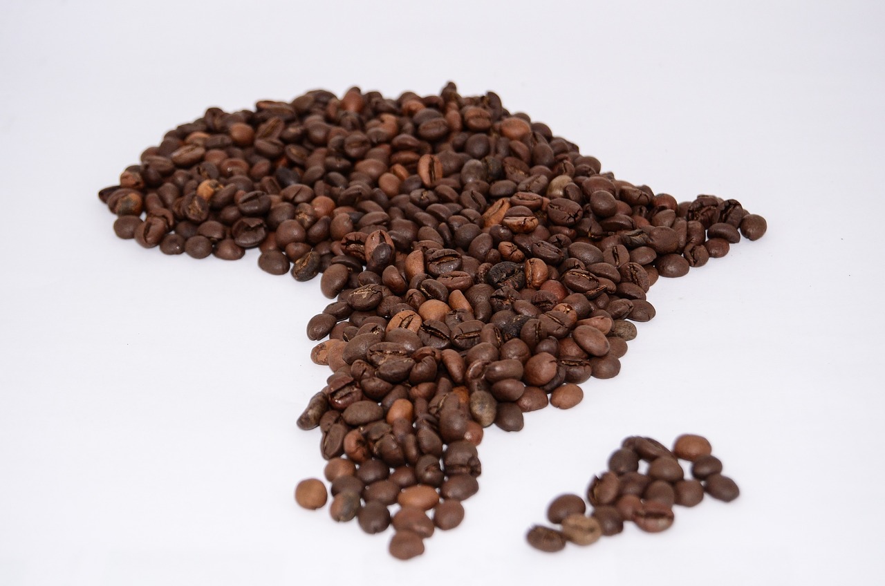 L’Afrique a un nouveau leader de l’exportation de café
