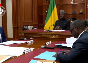 Autosuffisance alimentaire : le Gabon mise sur l’aviculture pour produire son propre poulet de chair