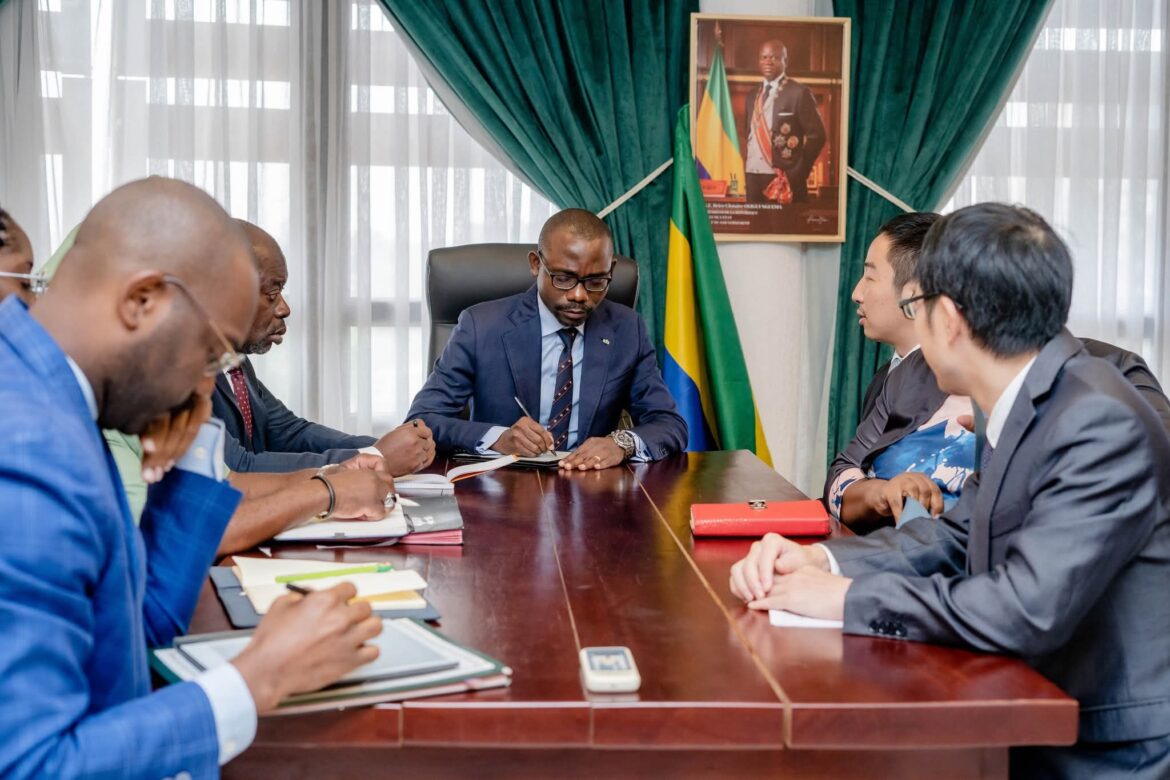 Gabon/Ayémé : le Gouvernement gabonais veille au strict respect des normes environnementales dans le cadre du projet minier