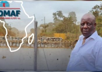 Aucune suspension des travaux dans ses chantiers au Gabon annonce le Groupe Ebomaf